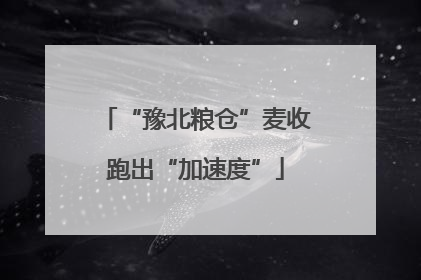 “豫北粮仓”麦收跑出“加速度”